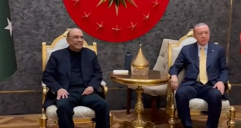 President Pakistan Asif Ali Zardari meets Turkish President Recep Tayyip Erdoğan