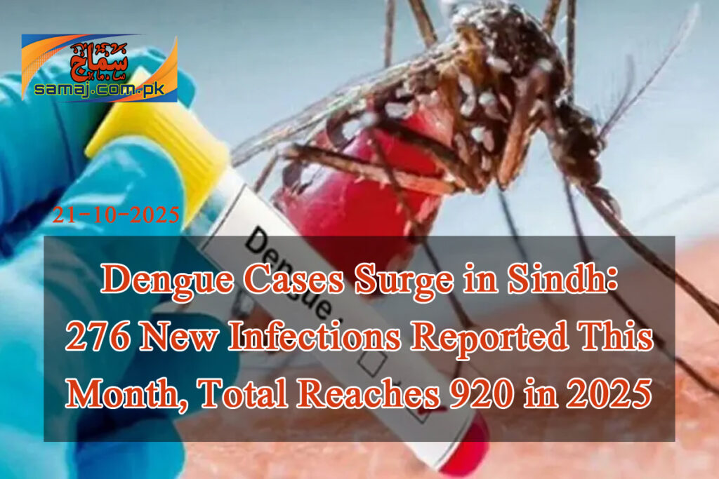 Dengue 276 cases in Sindh