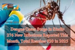 Dengue 276 cases in Sindh